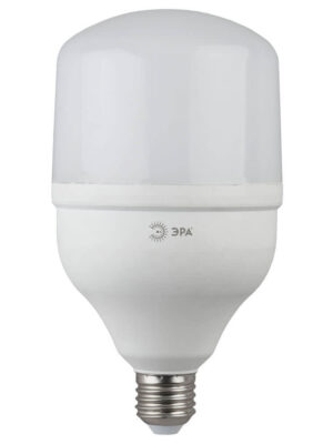 Светодиодная лампа ЭРА LED POWER Т100-30W-6500-E27