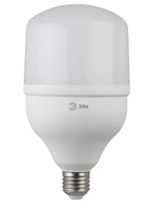 Светодиодная лампа ЭРА LED POWER Т100-30W-6500-E27