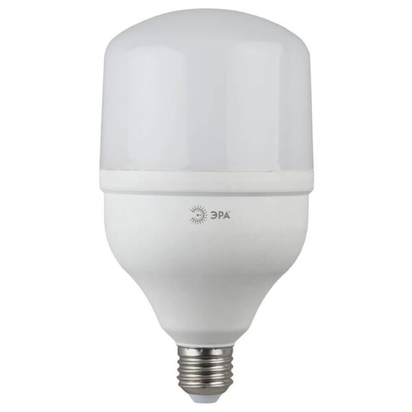 Светодиодная лампа ЭРА LED POWER Т100-30W-6500-E27