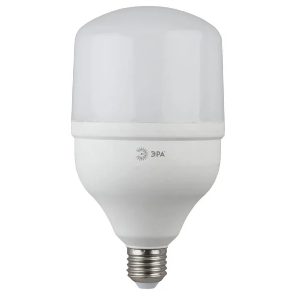 Светодиодная лампа ЭРА LED POWER Т100-30W-6500-E27